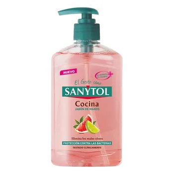 

Hand Soap Dispenser Antibacterias Kitchen Sanytol (250 ml)