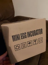 9-Eggs-Incubator Brooder Quail Chicken-Duck Manual Birds Mini Cute