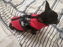 Puppy Vest Coat Clothing Jacket Dogs Chihuahua Waterproof Large Winter Medium Pet-Dog