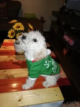 Hoodies Dog-Coat Halloween-Costumes Dogs Christmas Chihuahua Winter New Cats