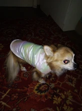 Dogs Vest Coat Pet-Clothing Puppy-Dog-Clothes Small Waterproof Winter Medium Warm Cute