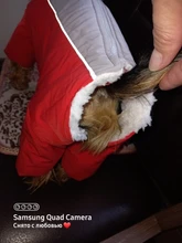 Winter Overalls for Dogs Warm Waterproof Pet Jumpsuit Trousers Male/ Female Dog Reflective