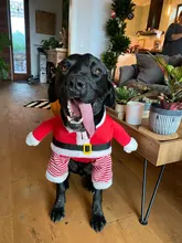 Costume Cat Jacket Christmas Dogs Small Santa-Claus Winter Large for Funny Dog-Coat Warm
