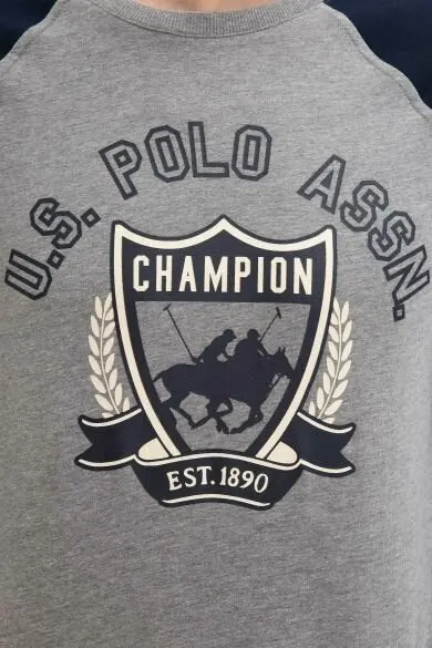 U.S. POLO ASSN. Обычная Толстовка