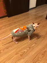 Cute Cat Sweater Costume Winter Warm Pet Clothes Cat Clothing for Cats Katten Kedi Giyim