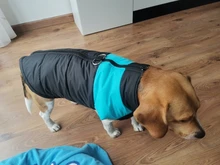 Ropa de invierno para perros, chaleco con cremallera cálido, acolchado e impermeable para mascotas, Carlino y Chihuahua pequeños y medianos