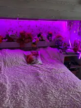 Neon Ribbon Diode Background-Lighting Light Usb Led-Strip Pc-Screen 2835SMD Flexible