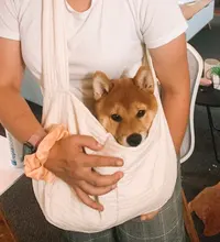 Bolso de viaje para perros y cachorros Gato hecho a mano para exteriores de lona bolso grande de hombro transpirable transportin perro bolso para perro pequeño bolso mascota