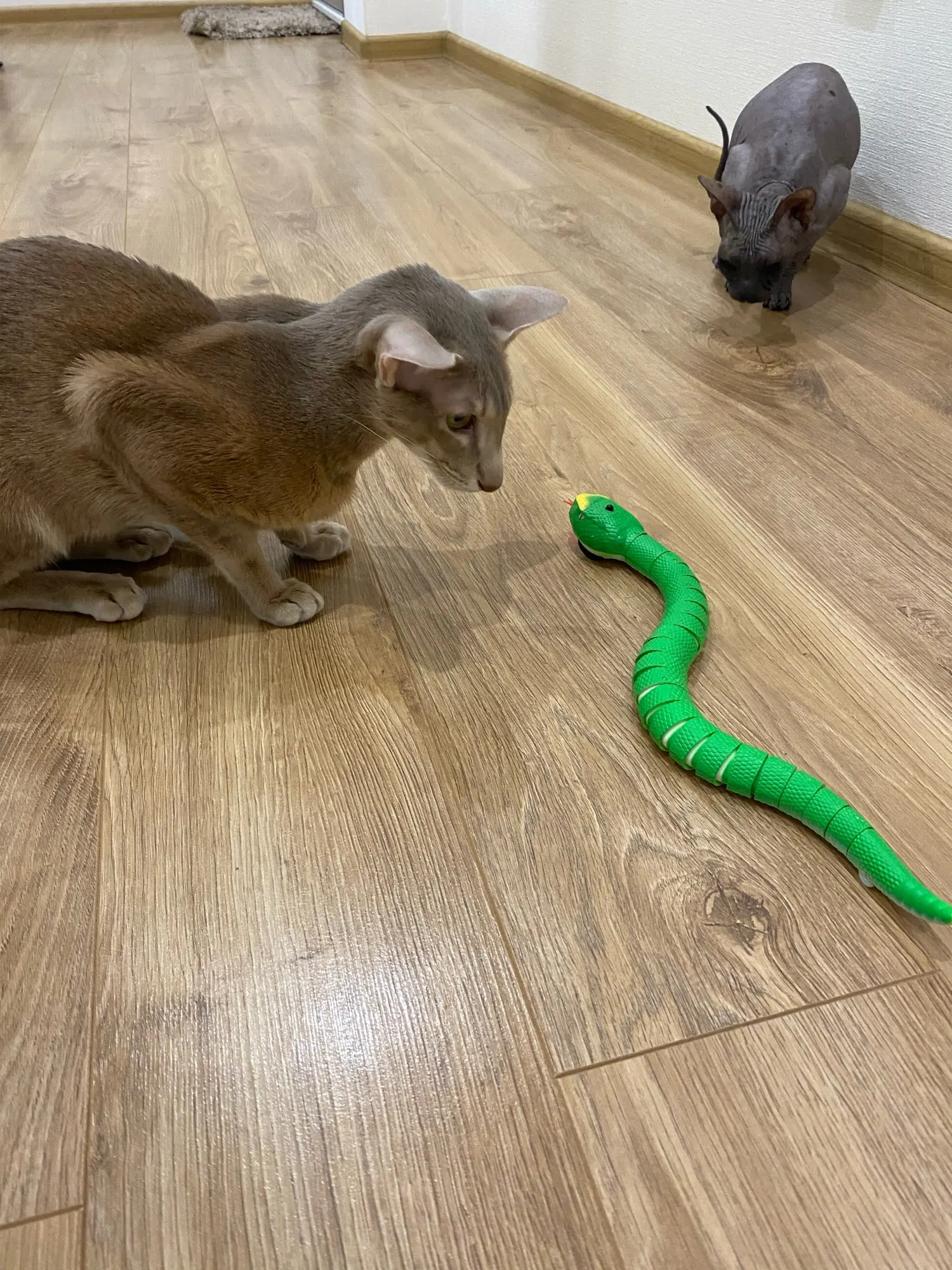 Rcロボットと動物のrcのおもちゃ 空の猫と卵のガラガラ レンガの壁 子供のための面白いおもちゃ Rc Robots Animals Aliexpress