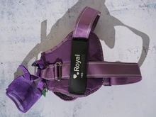 Stickers Labels Pets-Supplies Dog-Id-Tag Name Reflective Custom Personalized for DIY