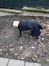 Jacket Clothing Coat Greyhound Waterproof Dog Dogs Large Super-Warm Medium Thick 