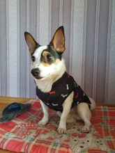 Pet Dog Winter Coat Small Dog Clothes Warm Dog Jacket Puppy Outfit Dog Coat Chihuahua