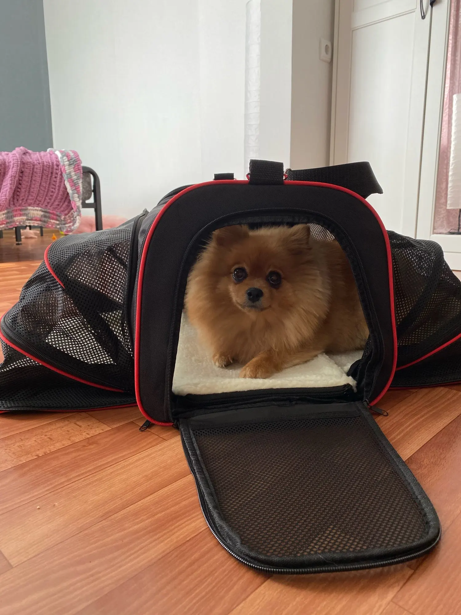 Travel Expandable Dog Carrier photo review