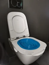 Cat Toilet Litter-Box Puppy-Cat-Litter-Mat Training-Kit Plastic 40--40--3.5cm