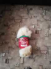 Shirt Pet-Clothing Dog-Costume Puppy Dogs Vest Christmas Chihuahua Cotton Small Medium