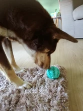 2020 nueva llegada None Cn (Origen) de caucho pelotas juguetes para perros