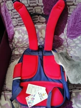 Mochilas escolares ortopédicas para niños y niñas, a prueba de agua