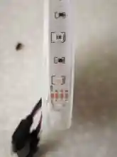 Strip-Light Music-Control LED Bluetooth Rgb Smd 5050 2835 Diode Flexible Ribbon DC12V