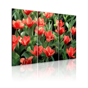 

Table-Tulips flower 120x80