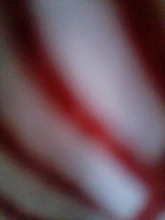 Nail-Clippers Pet Beauty-Cleaning-Supplies Dog Cat Stainless-Steel Professional Labor-Saving