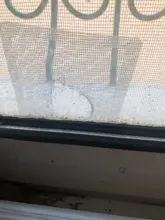 Repair-Screen Stickers Mesh Insect Anti-Mosquito Home-Adhesive Fix Bug Window 15pcs Wall-Patch