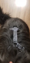 Vest Harnesses Pet-Accessories Husky Adjustable Breast-Band Reflective Large Dog 