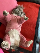 Coat Jumpsuit Clothing Puppy-Fleece Hoodie Apparel Pet-Dog Winter New Warm Velvet