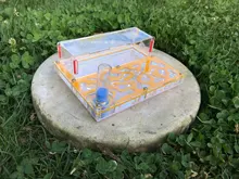 Tubo de prueba de humedad para granja de hormigas, gran espacio, nido de hormiga acrílico, insectos, casa de campo, taller ecológico, 150mm x 110m