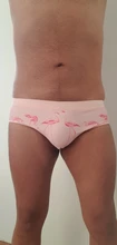 Bañador rosa con dibujo de flamenco para hombre, traje de baño Sexy con realzador almohadilla, pantalones cortos de natación para verano y playa, zwembroek heren Gay, 2020
