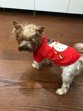 Shirt Pet-Clothing Dog-Costume Puppy Dogs Vest Christmas Chihuahua Cotton Small Medium