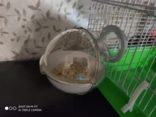 Cage-Box Toilet-House Hamster Mouse Small-Animals Bath for Sand-Room