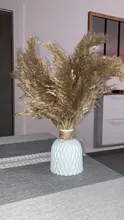 Pampas-Grass Reed Flower Wedding-Decoration Bunch Light-Color Natural Dried Christmas