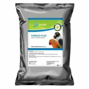 

Format Plus | Special Agapornis