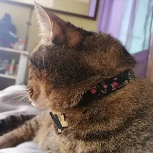Collar de Gato personalizado con campana, Collar Floral personalizado para gatos, gatito, cachorro, etiqueta de identificación, Collar para gatos, mascota pequeña