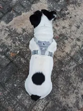 Harness Vest Pet-Products Collar Soft-Lining Walking-Training Reflective Adjustable Small