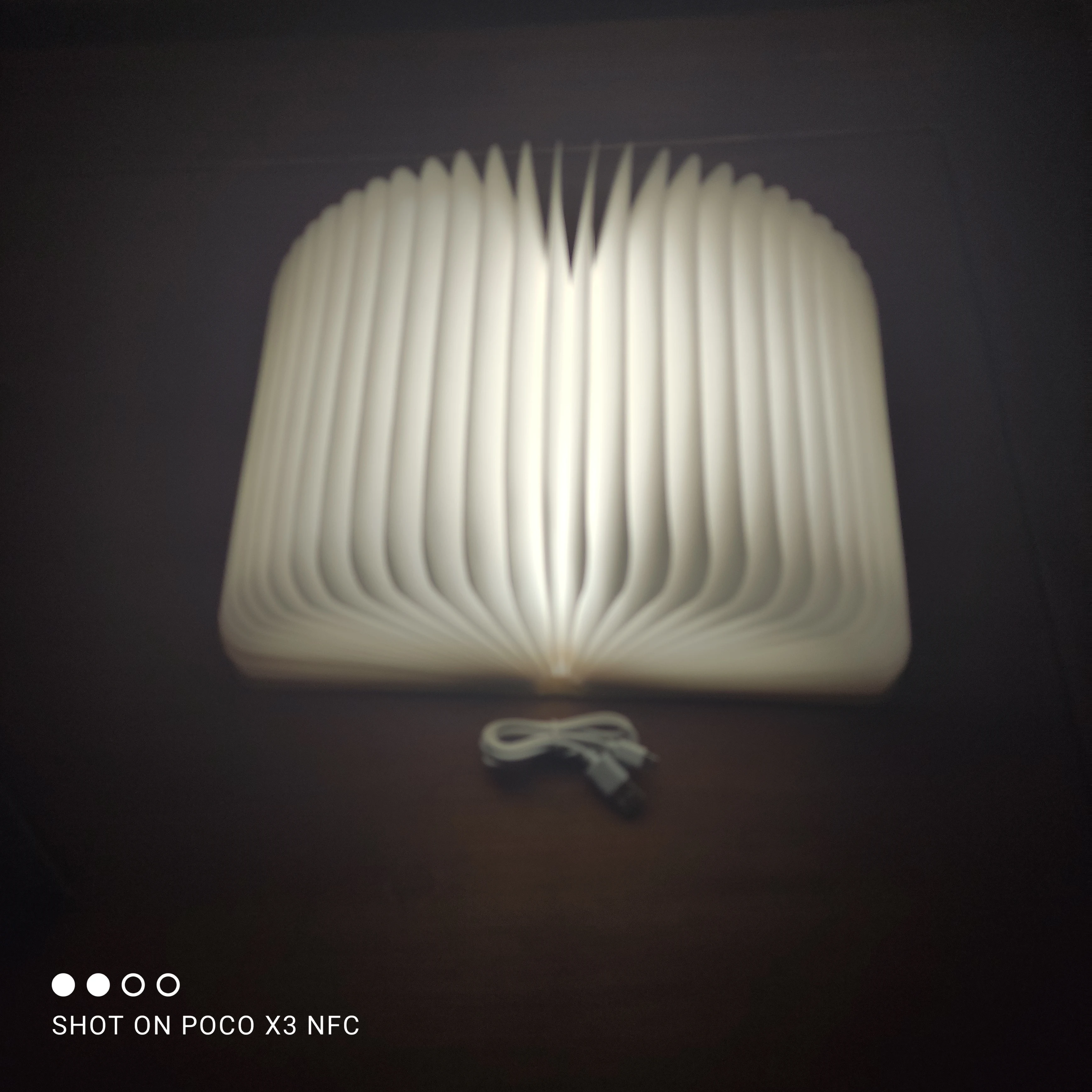 Foldable Accordion Lamp Wooden Night Light photo review