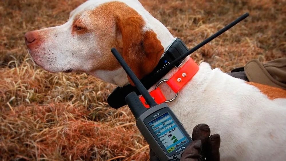 Garmin Astro 320 ошейник DC50(Официальный дилер в России