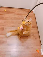 Buy any 3 (10) items get 20% (30%) off! Catnip Cat Toy Cat pillow