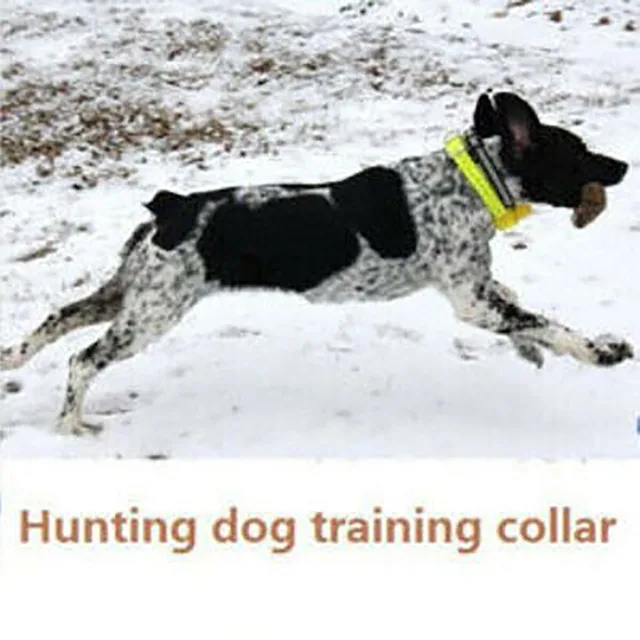 Hunting Dog Beeper Collars Dogs Cats Everything
