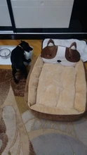 Dog-Beds Sofa Dogs-House Small Large Cute Kennel Dogs-Accessories Anti-Stress Animal-Shape