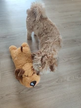 Lindo latido del corazón cachorro de conductividad juguete de entrenamiento mascota de peluche cómodo acurrucarse dormir