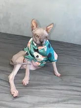 Cartoon Cat Hoodie Sweater Autumn Winter Pet Cat Clothes for Cats Katten Kedi Pullovers