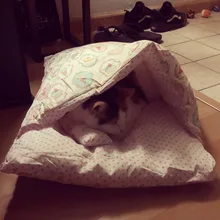 Cat-Sleeping-Bag Cushion Pillow Bed House Removable Cat-Bed Cats Nest Pet-Dog Japanese