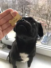 Anti-perdido personalizado Pet ID Tag perro Collar de identificación de mascotas nombre de gato para gato Collar de cachorro etiqueta colgante accesorios Collar mascotas