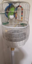 Waterer-Clip Aviary Cage Feeding-Equipment Bird Food-Feeder Pet-Water-Drinker Budgie-Lovebirds