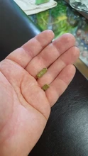 Aquarium Shrimp Natural-Spinach Food Crystal Red 35g Mixed-Ingredient Hot-Sale