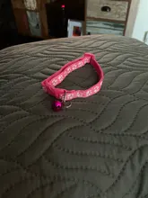 Nuevo lindo Collar campana para gatos Collar de perro Teddy Bomei perro de dibujos animados divertido huella collares lleva Cat accesorios Animal productos