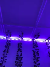 Tiras de luz LED WIFI RGB 5050, funciona con el asistente de Google Alexa, aplicación de teléfono, Color, 24V, TV, ordenador, dormitorio, Luces Led con Bluetooth