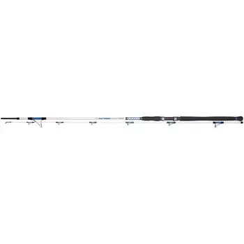 

Rod dragon boat Master Tournament pro 2.75m 60-180g chc-24-71-275