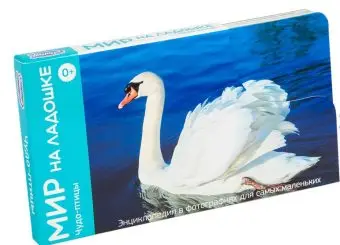 

Developing manual "the world on the palm. Miracle birds "clever 2012